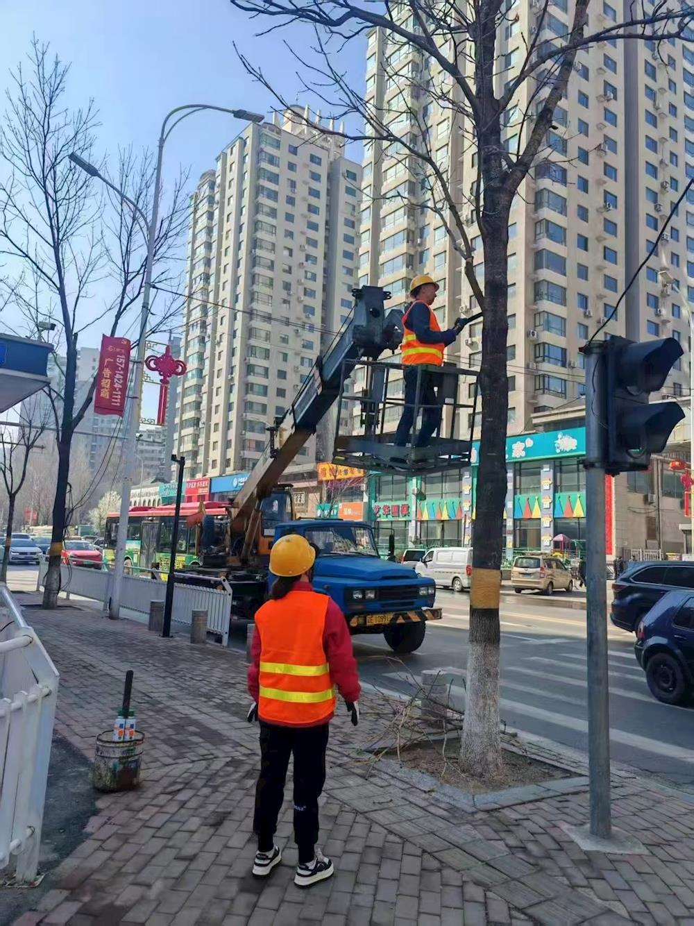 给树木“理个发”，明山区全力推进城市行道树春季修剪工作​